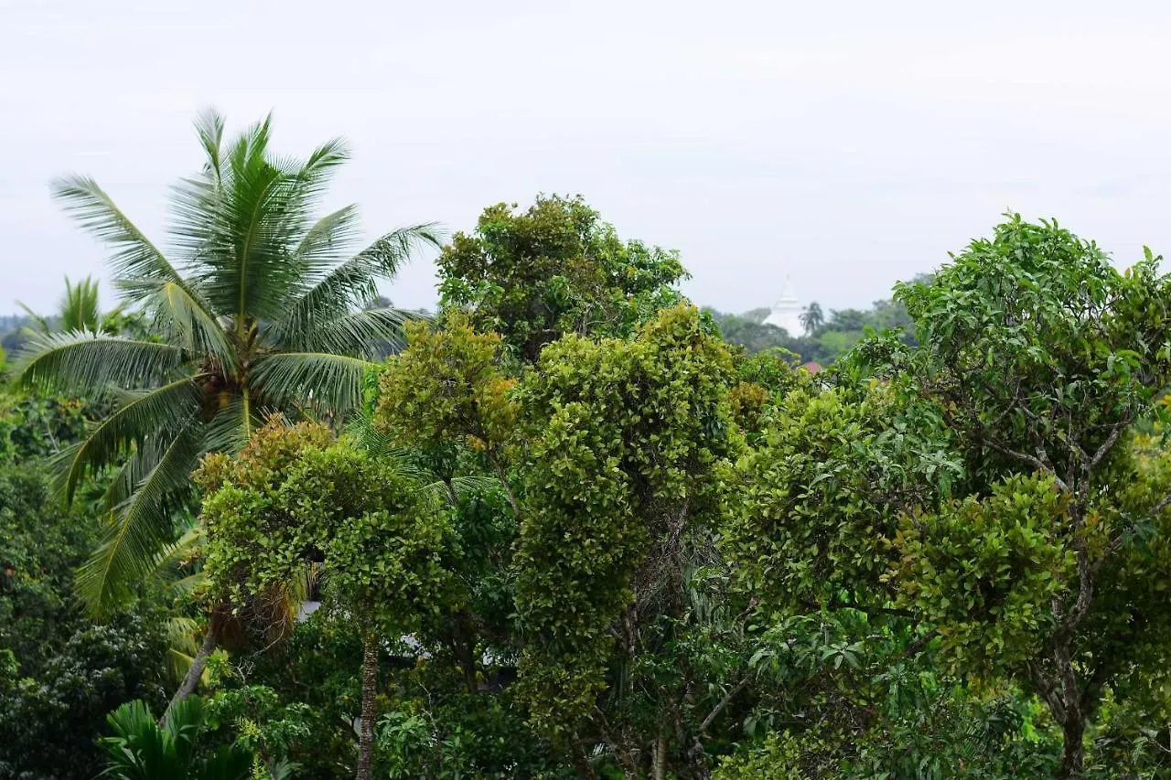 Hotel Heritage Eco Resort Kelaniya